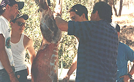 View full size image